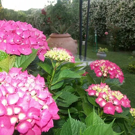 & Relais Il Borgonuovo